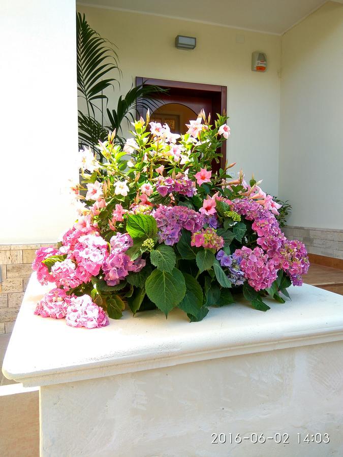 Le Camelie Bed & Breakfast Marina di Ginosa Ngoại thất bức ảnh